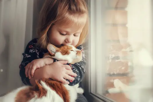 wohnen-und-einrichten-kind-katze-fenster-01 Kind am Fenster